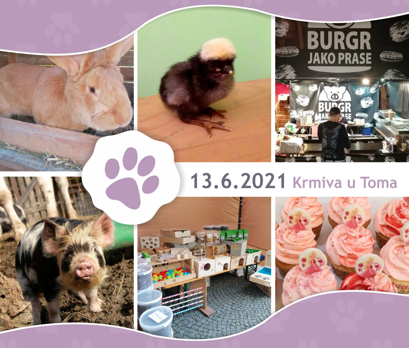 bohatý program